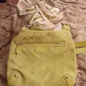 Luxury Footwear and Purse Set
